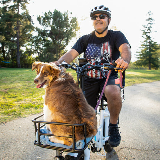 Les chiens peuvent-ils faire du vélo électrique?