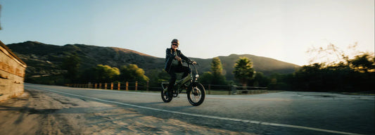 Comparaison de l’accessibilité et de la valeur des vélos électriques Lectric et vélotriques électriques