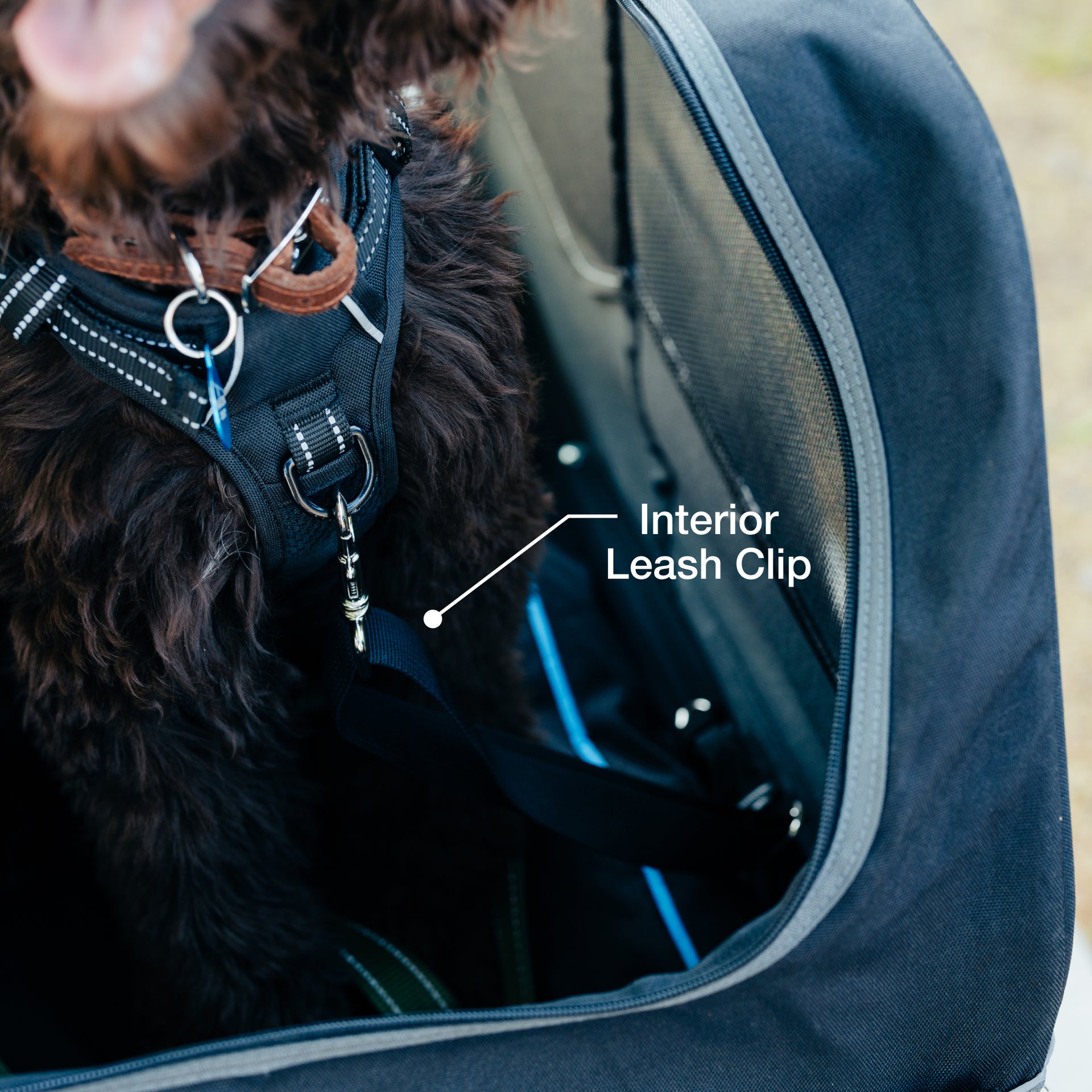 Medium Pet Trailer