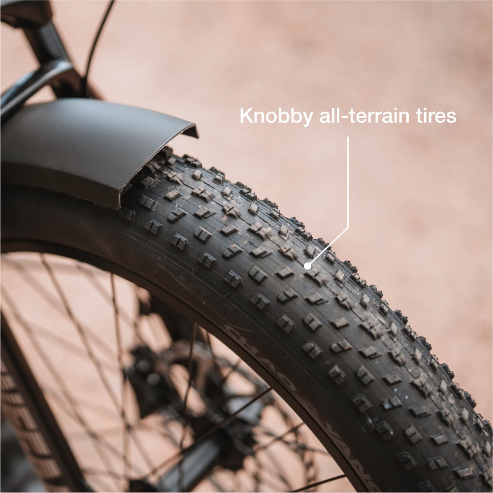 XPeak2 High-Step eBike